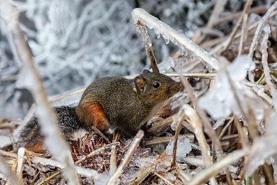 在赛博牢笼中挥棒击碎绝望 《战极死游》今日正式公测