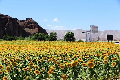 《守望先锋2》上线星战风限时活动 角色独立设置功能